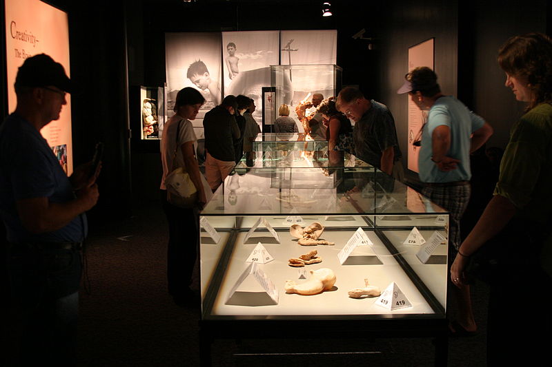 800px-Body_Worlds_Exhibit_San_Diego_2009