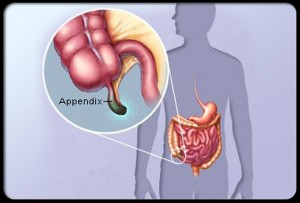 Appendix 1