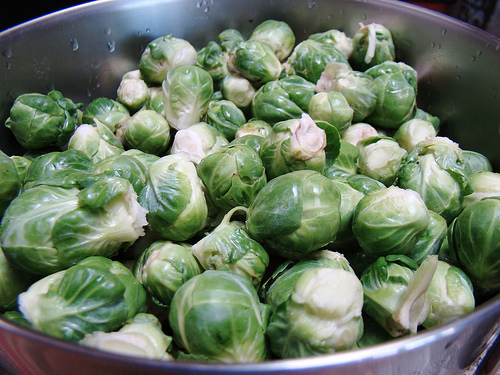 sprouts