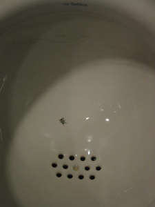 Fly urinal