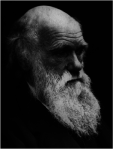 Charles Darwin. Photo credit: Wikimedia Commons. Shared under Creative Commons License 3.0