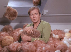  TRIBBLES. Star Trek: The Original Series. Desilu productions. Still taken from Wikimedia Commons. 