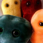 Cuddly microbes: Note - significantly cuddlier than those found in your gut!