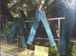 CatClo-treated jeans displayed in Sheffield’s Winter Garden. Photograph courtesy of Helen Storey Foundation. 