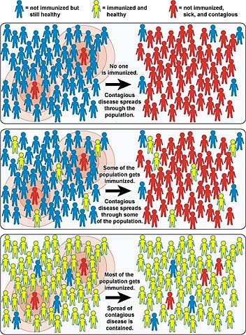 352px-Community_Immunity