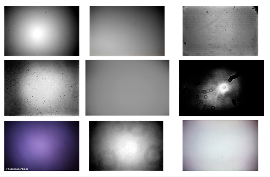 Some examples of flat field frames taken by different telescopes. All these frames show were light is being blocked from reaching the camera sensor. My telescope’s flat frame is the middle picture; it looks good in comparison.